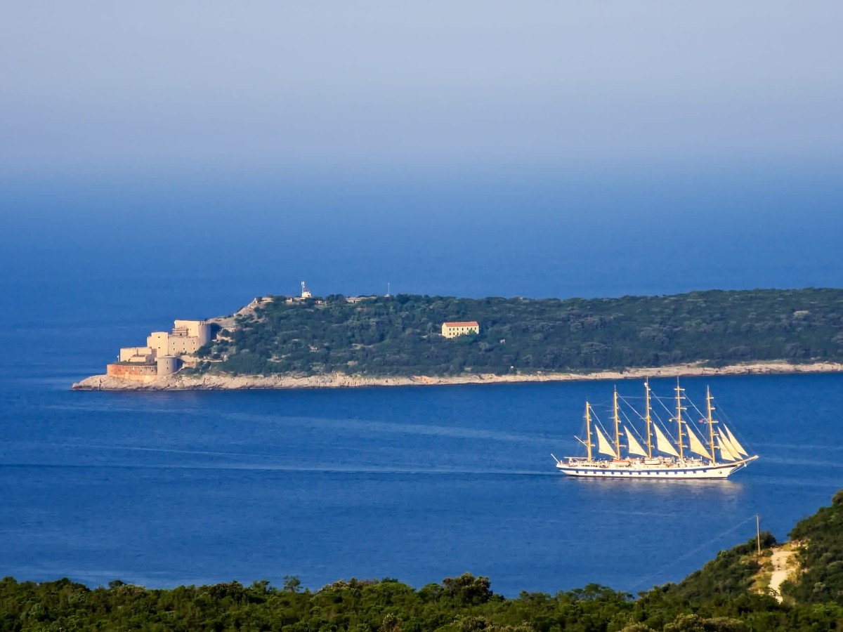 Luštica Village Tour with appetizers